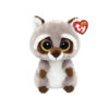 Ty beanie boo wasbeer Oakie 15cm 0008421363759